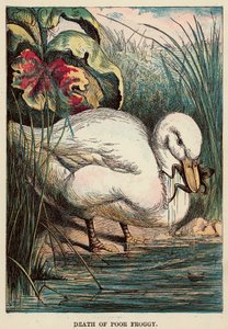 Død af stakkels frø af English School